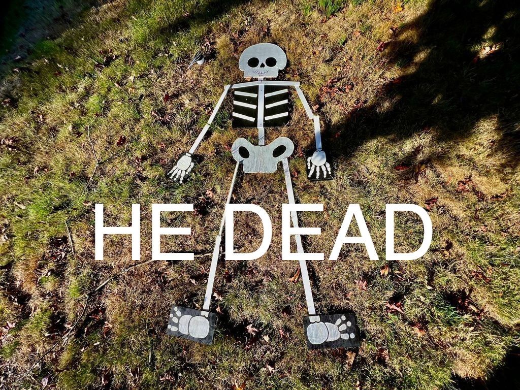 A flat skeleton made of wood pieces lies on a mossy ground, casting shadows. 